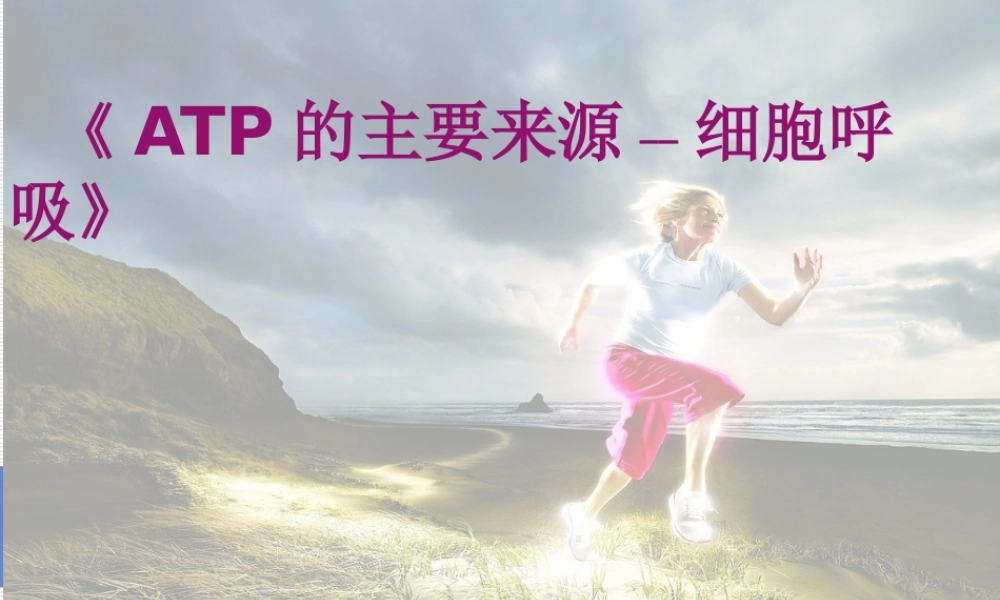 《ATP的主要来源-细胞呼吸》说课稿剖析.ppt