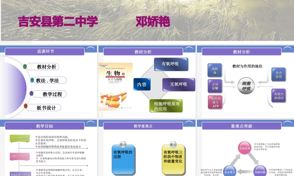 《ATP的主要来源-细胞呼吸》说课稿剖析.ppt