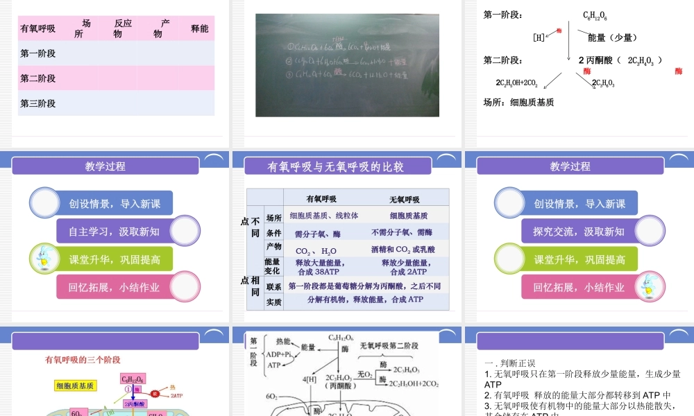 《ATP的主要来源-细胞呼吸》说课稿剖析.ppt