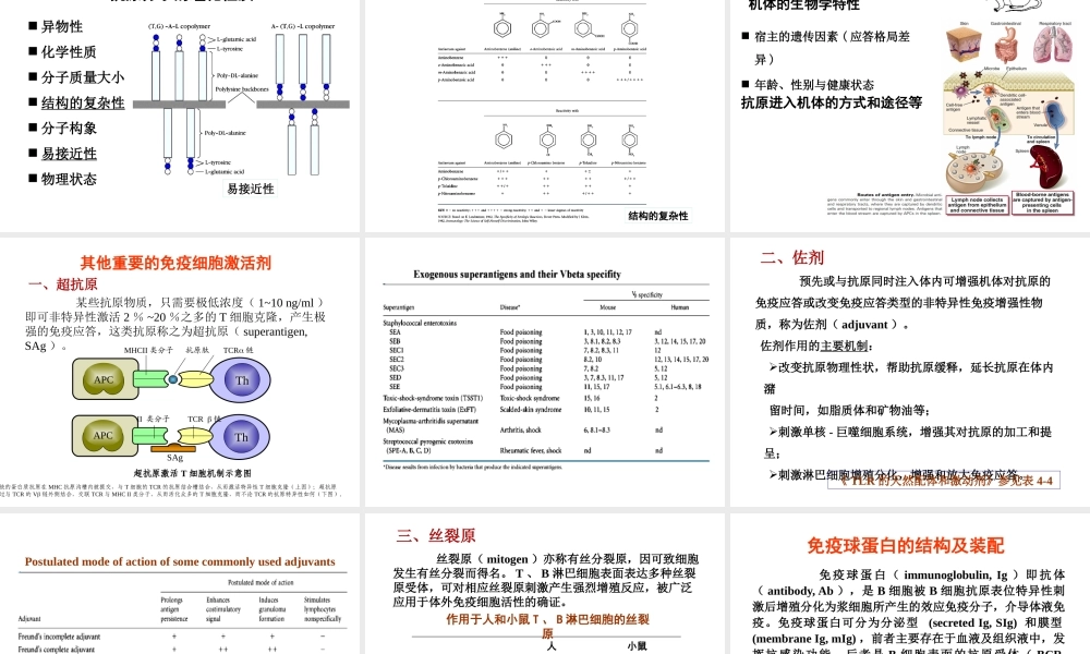 4-免疫原和免疫球蛋白.pptx