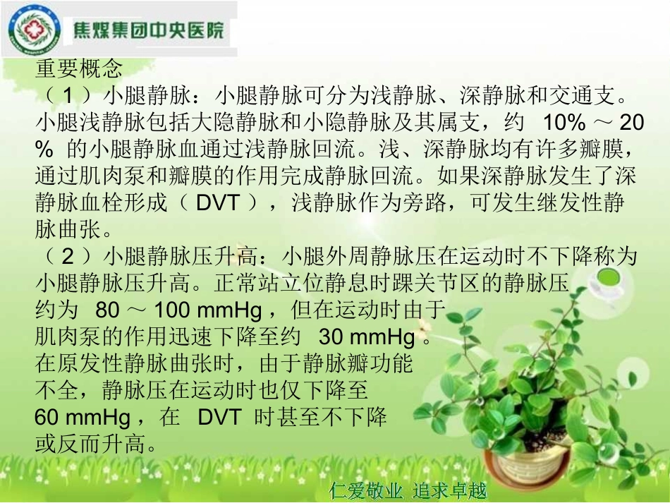 下肢静脉曲张.ppt.ppt_第3页