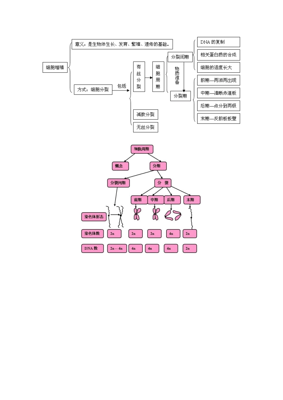 5.1细胞增殖概念图.doc_第1页