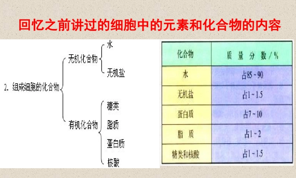 5细胞中的无机物1.ppt
