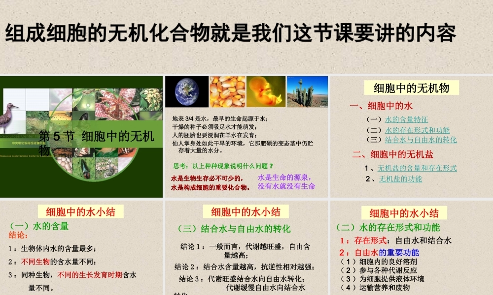 5细胞中的无机物1.ppt