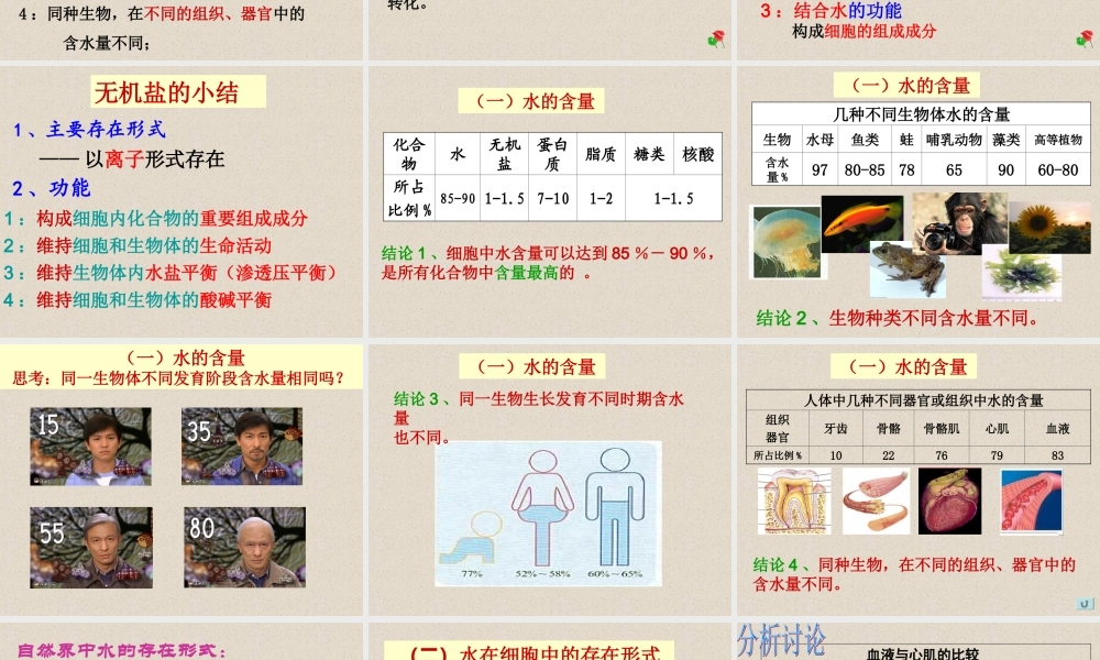 5细胞中的无机物1.ppt