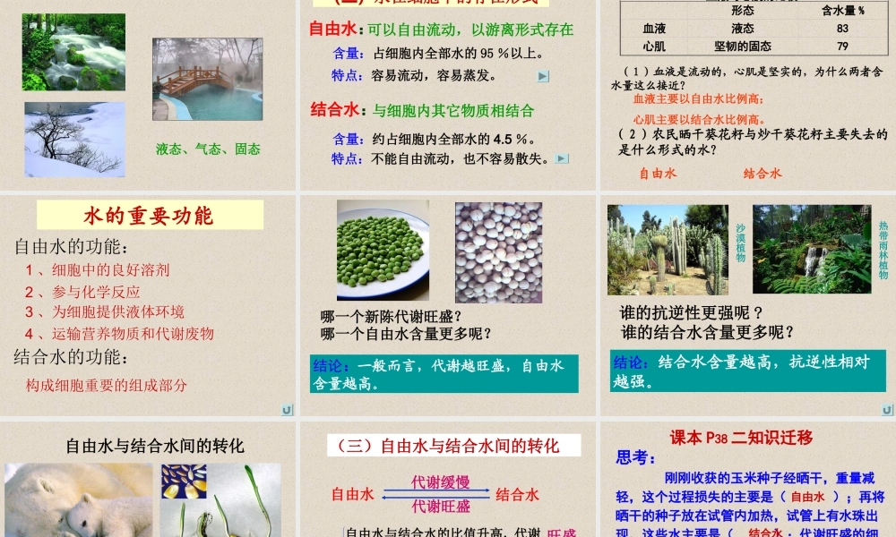 5细胞中的无机物1.ppt