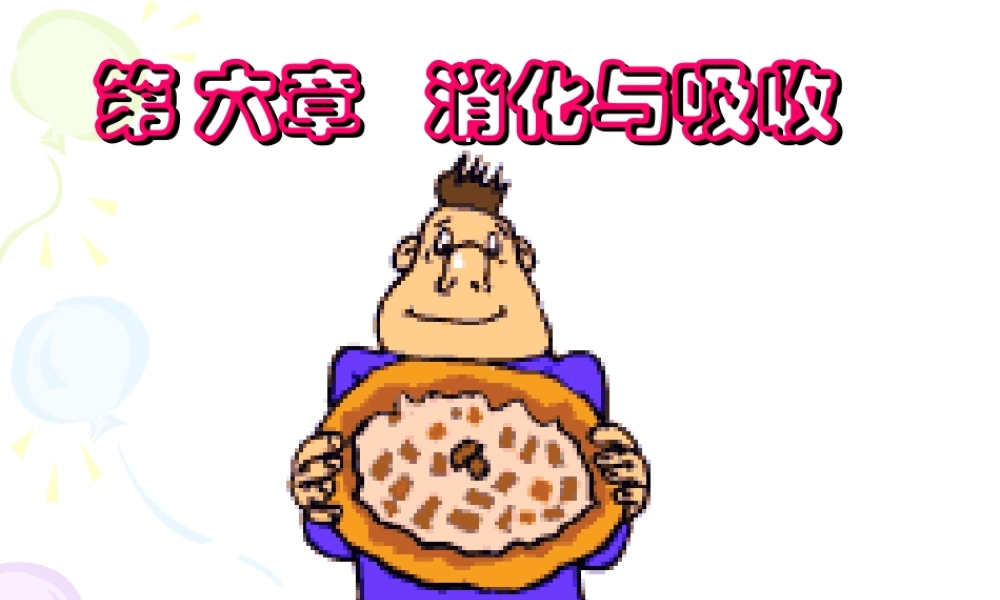 6.消化与吸收概述.ppt