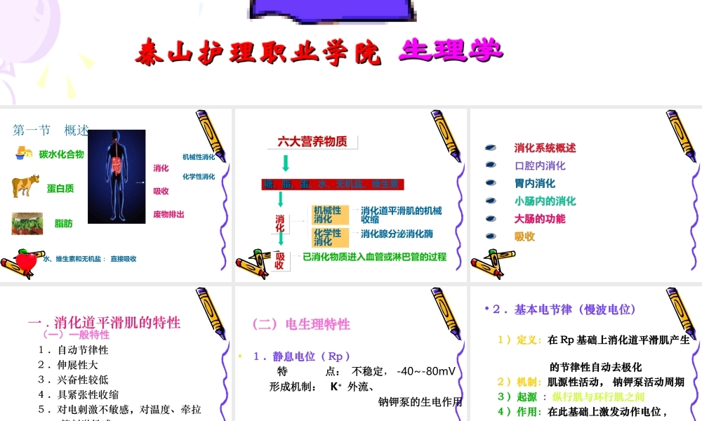 6.消化与吸收概述.ppt