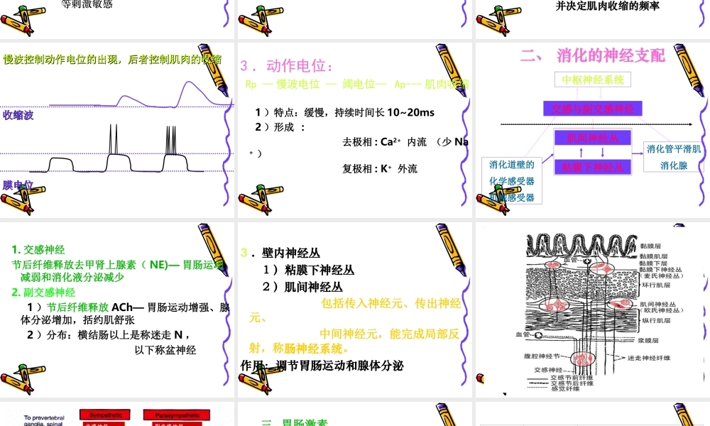 6.消化与吸收概述.ppt