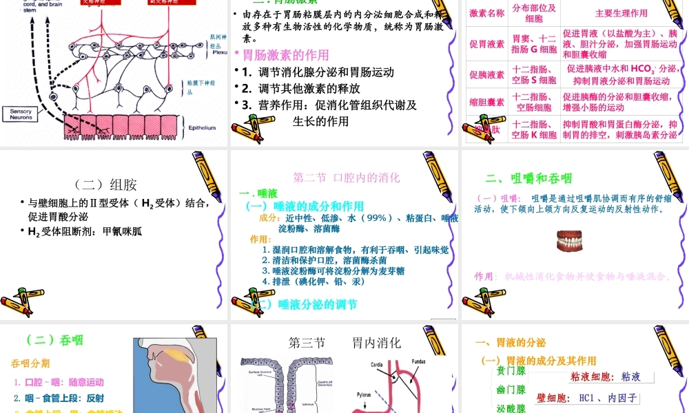 6.消化与吸收概述.ppt