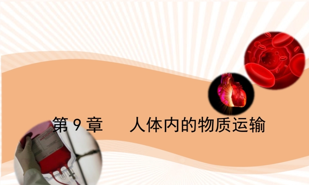 9.1-血液.ppt