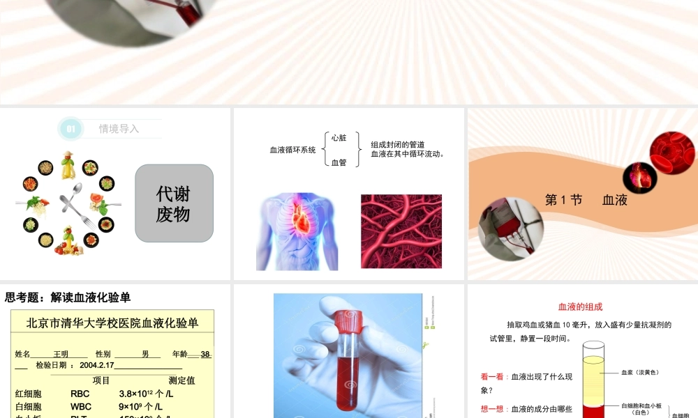 9.1-血液.ppt