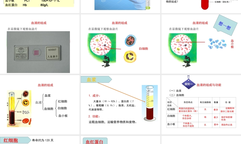 9.1-血液.ppt