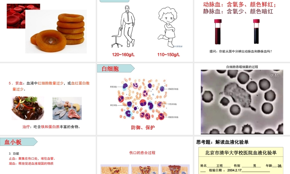 9.1-血液.ppt