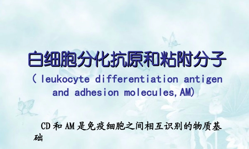 6-白细胞分化和粘附分子.ppt