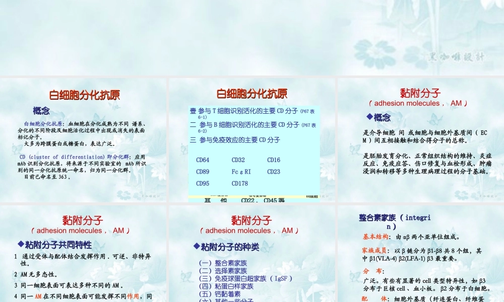 6-白细胞分化和粘附分子.ppt