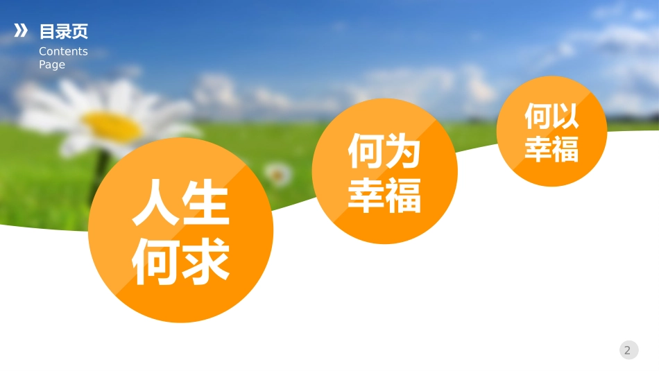 什么是幸福追求幸福PPT.pptx_第2页