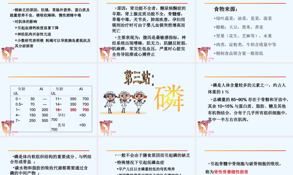 Chap3-2基础营养学.ppt