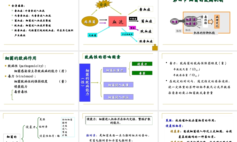3细菌感染与免疫.ppt