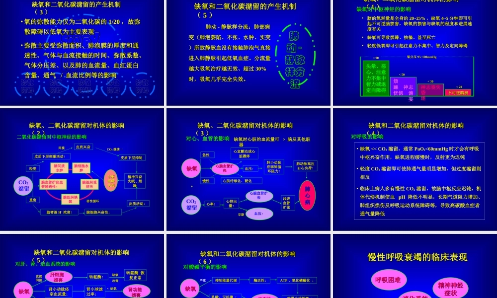 5年制呼吸衰竭.ppt