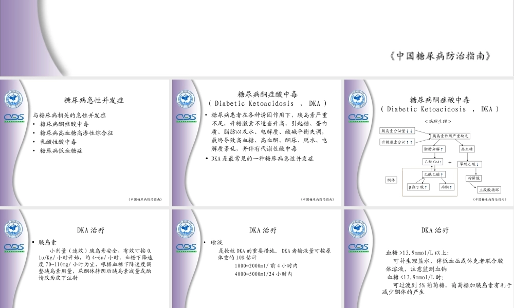 5.糖尿病急性并发症.ppt
