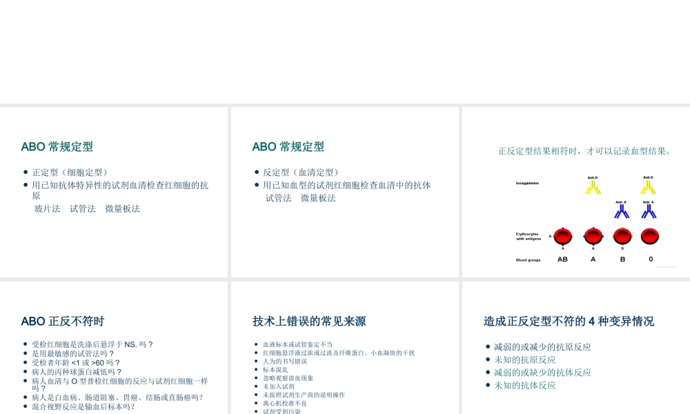 ABO血型系统及定型正反不符dy探素.ppt