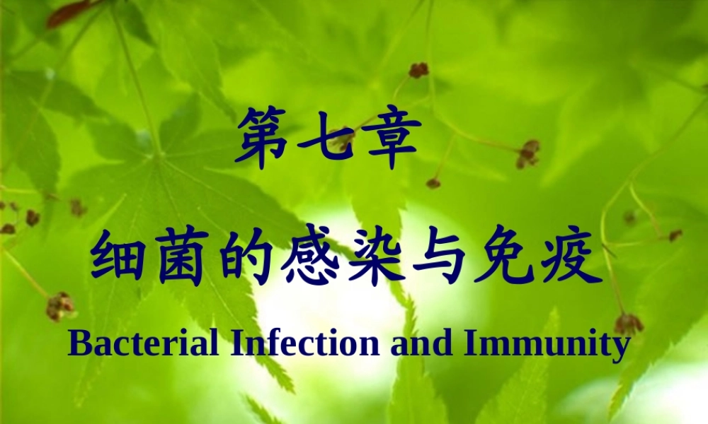 7-细菌的感染及免疫.ppt