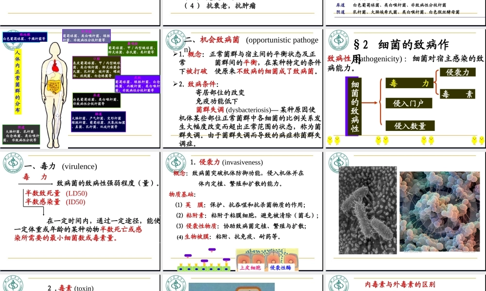 7-细菌的感染及免疫.ppt