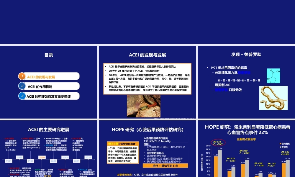 ACEI的广泛药理作用及其重要循证证据.pptx