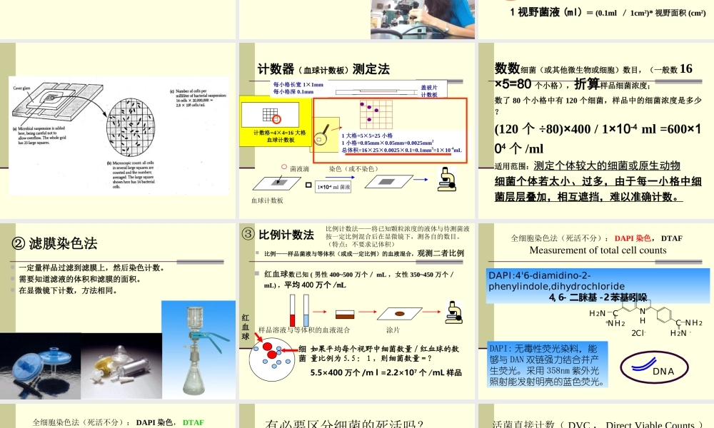 6第三章细菌的生长和遗传变异-1.ppt