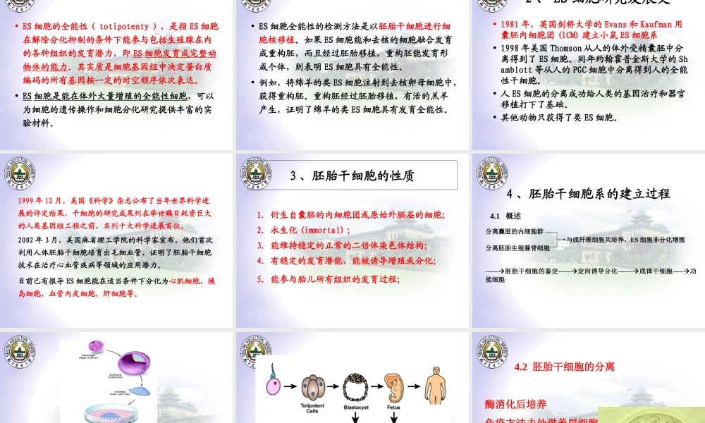7新4ES胚胎干细胞.ppt