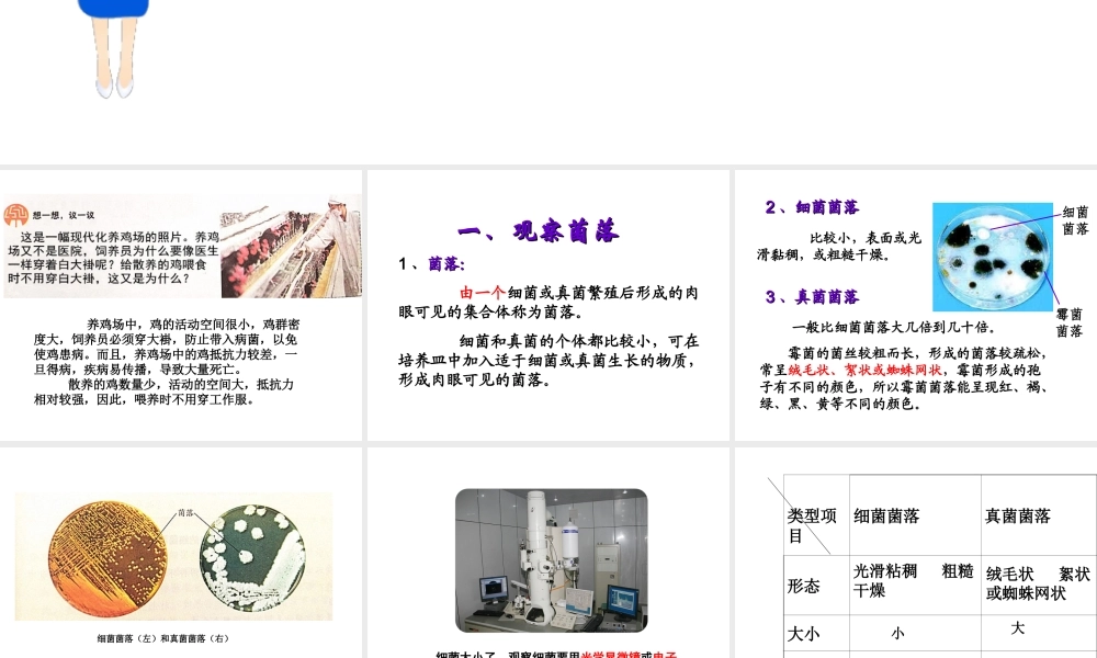 5.4.1细菌和真菌的分布.ppt