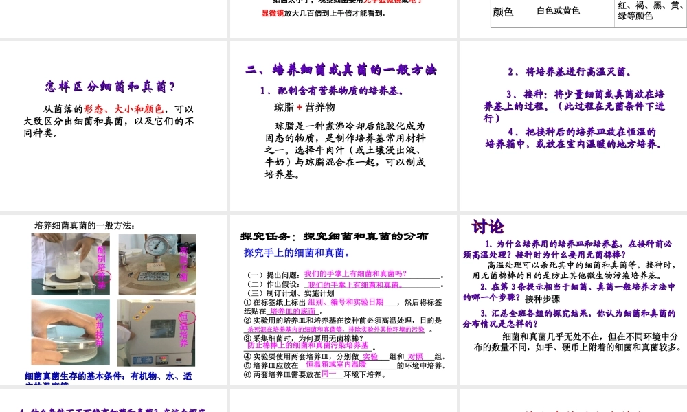 5.4.1细菌和真菌的分布.ppt