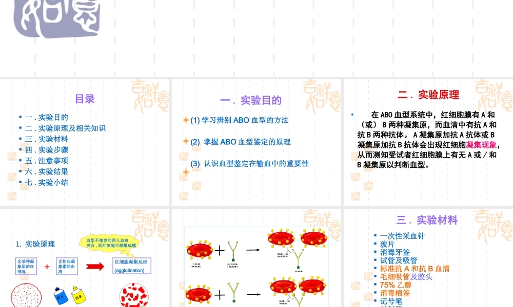 ABO血型鉴定---玻片法资料.ppt