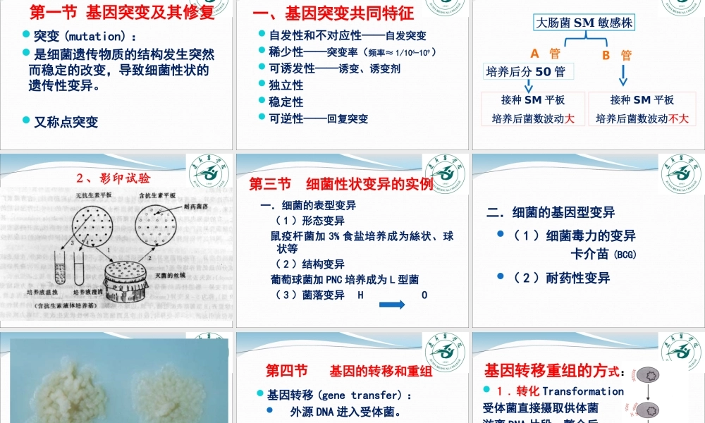 5.细菌的遗传与变异.ppt