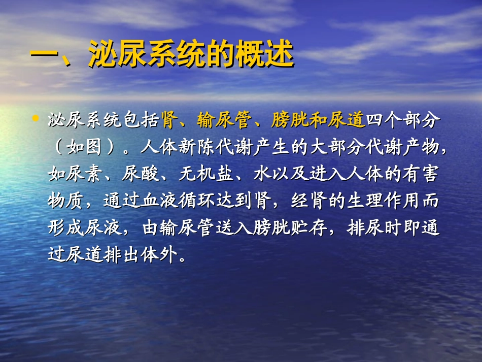 卫生学第七节-泌尿系统.ppt_第3页