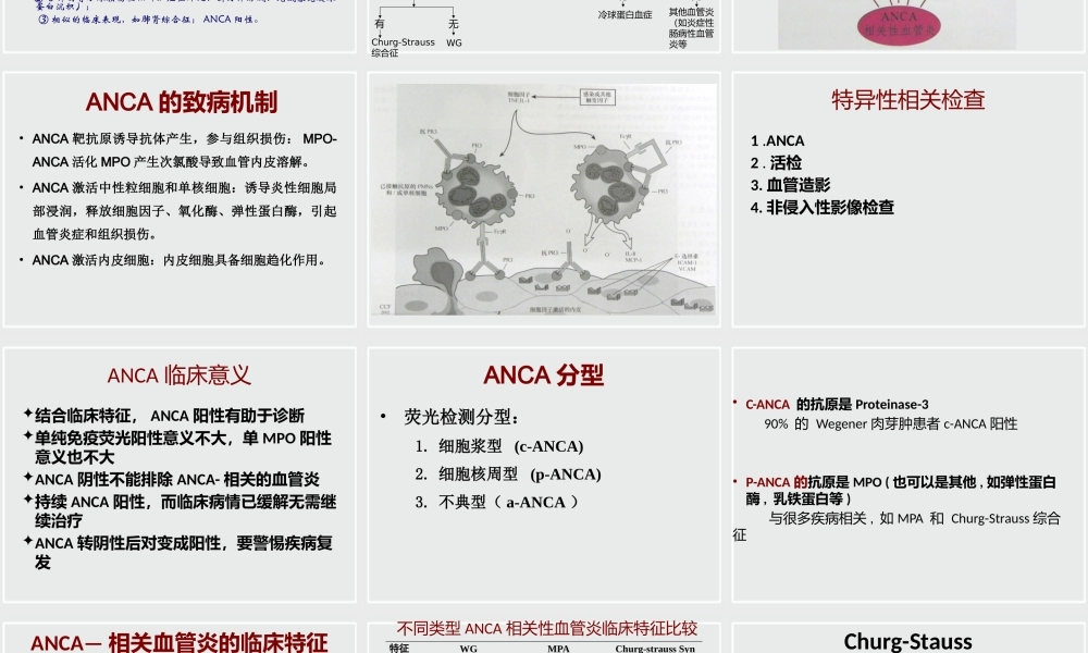 ANCA相关性小血管炎诊治进展.pptx