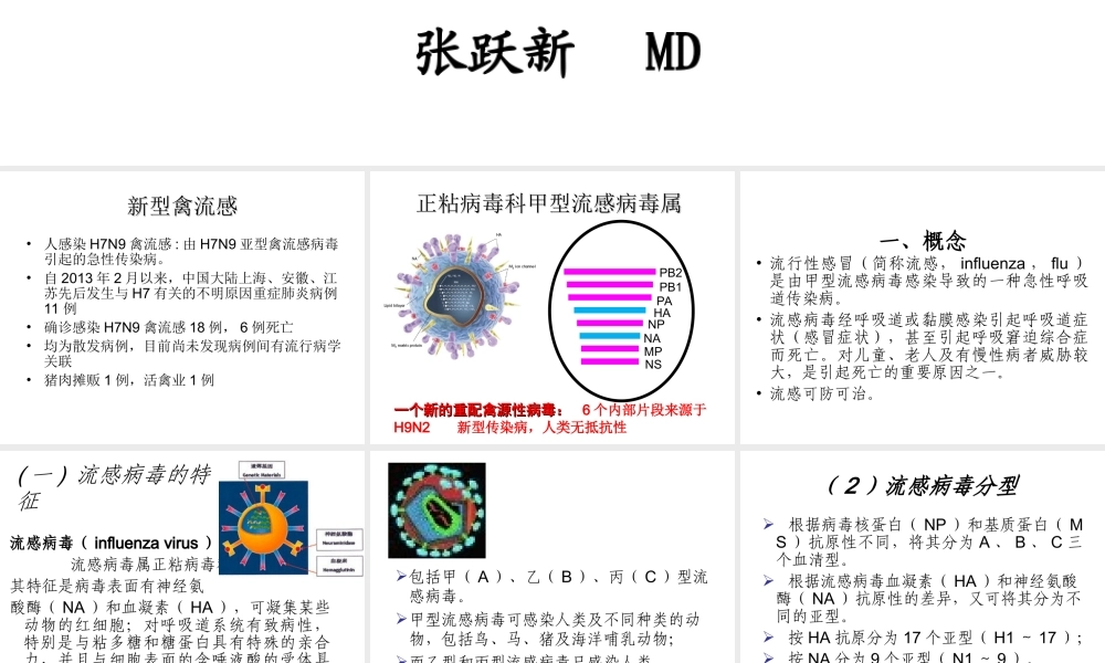 H7N9流感诊疗20134.ppt