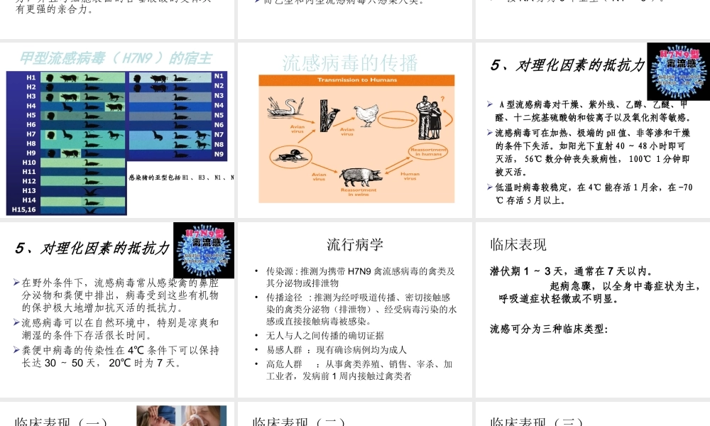 H7N9流感诊疗20134.ppt
