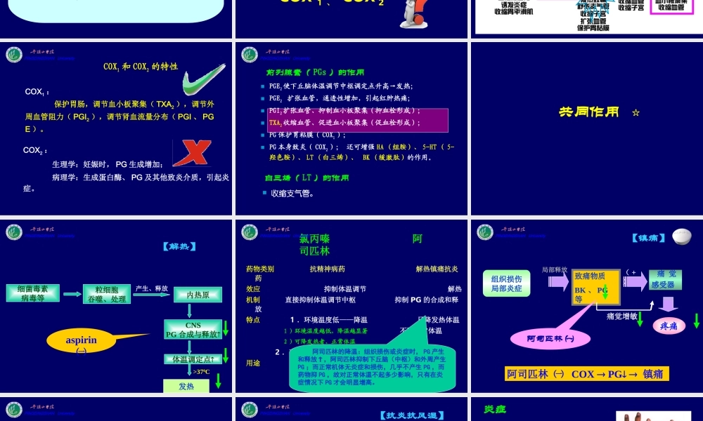 cq18--解热镇痛抗炎.ppt