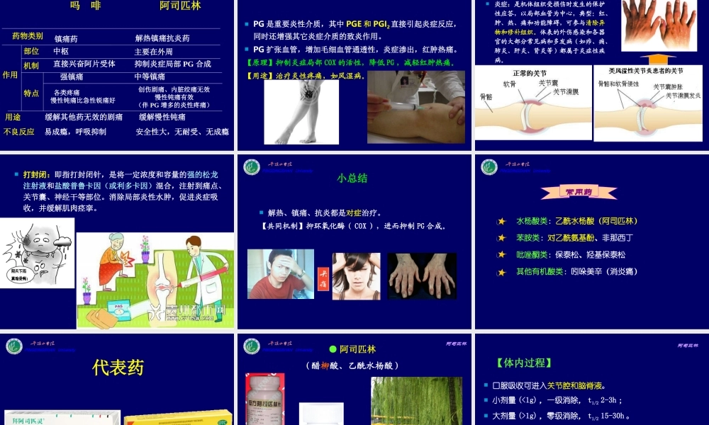 cq18--解热镇痛抗炎.ppt