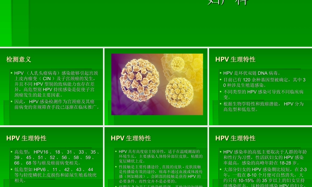 HPV感染剖析.ppt