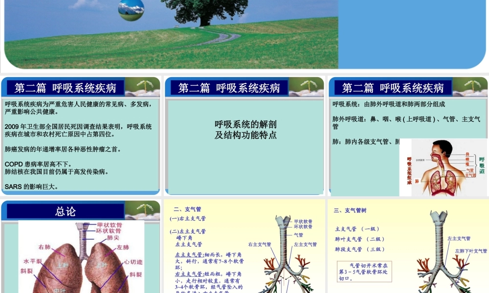 9.13急性上呼吸道感染.ppt