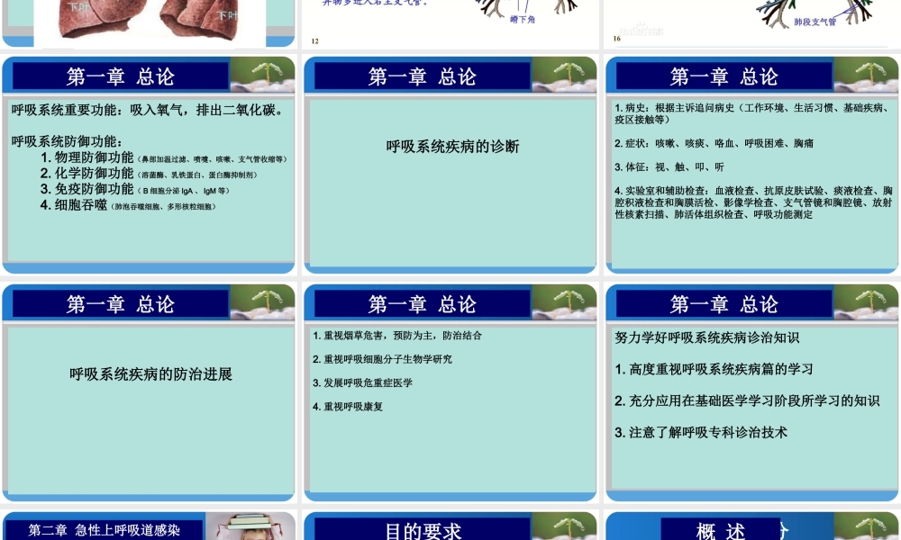 9.13急性上呼吸道感染.ppt