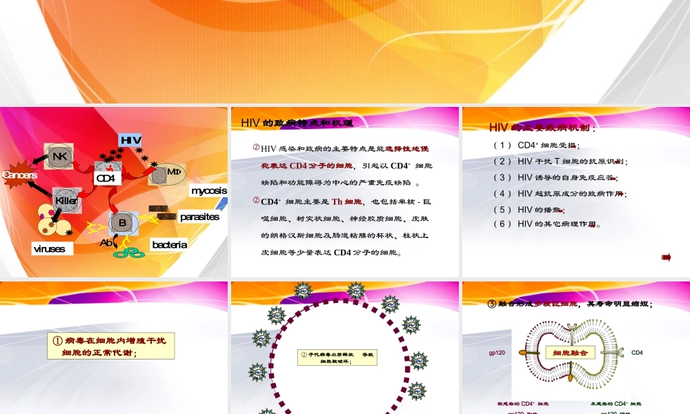 HIV的致病机制.ppt