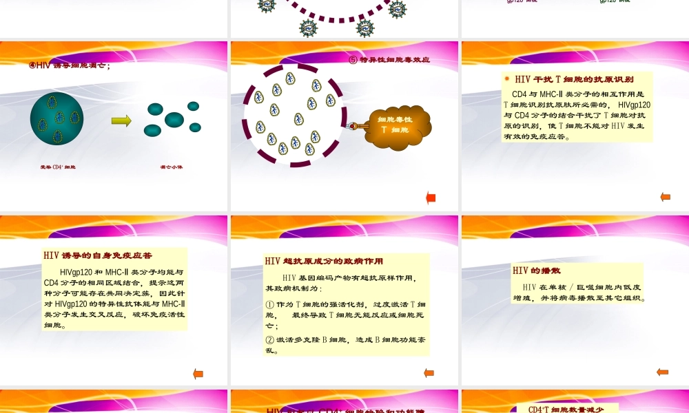 HIV的致病机制.ppt