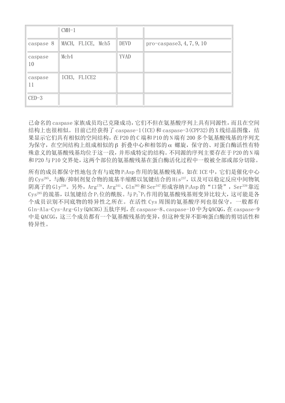 caspase家族及在细胞凋亡中的作用.doc_第2页