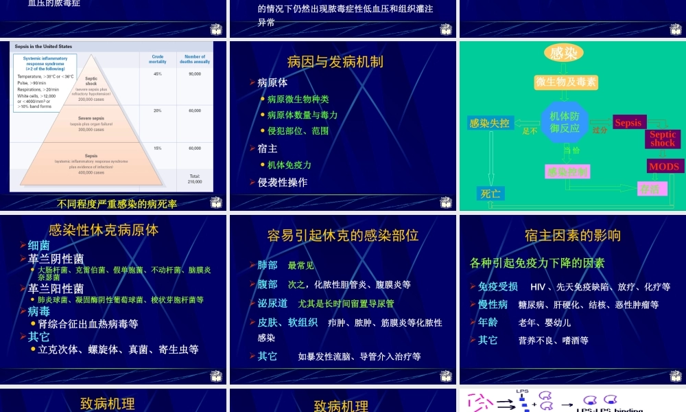 CP4-12感染性休克概述.ppt
