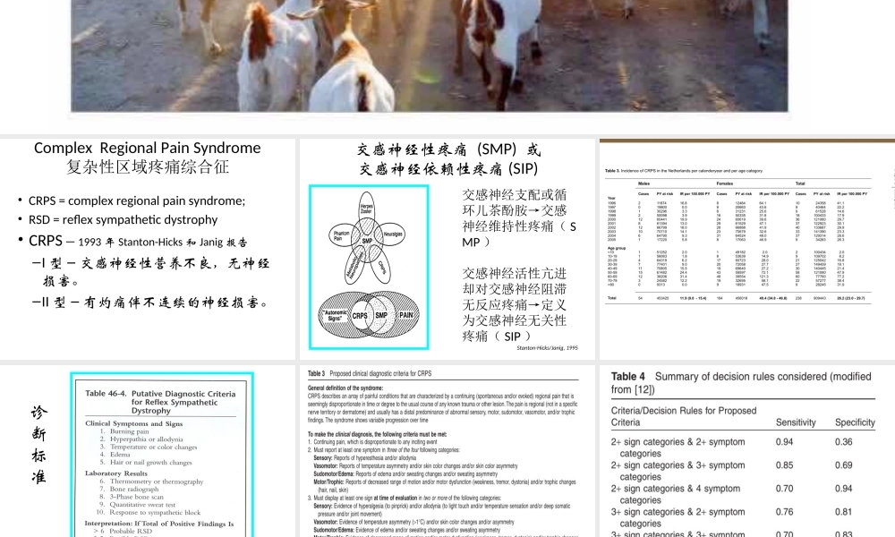 CRPs-复杂性区域疼痛综合征.ppt