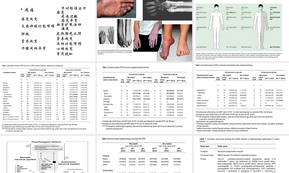 CRPs-复杂性区域疼痛综合征.ppt